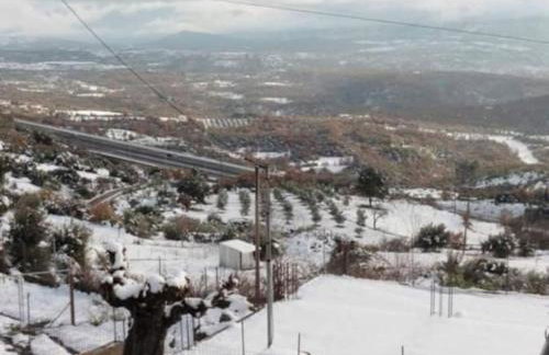 Villa Lena Megalopoli - Foto 43