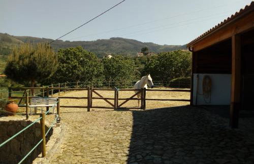 Quinta Souto Chão - Photo 15