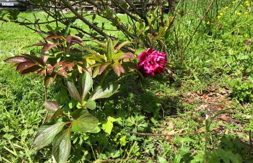 Beautiful Detached Farm House Near Lake Coniston - Pass the Keys - Photo 51