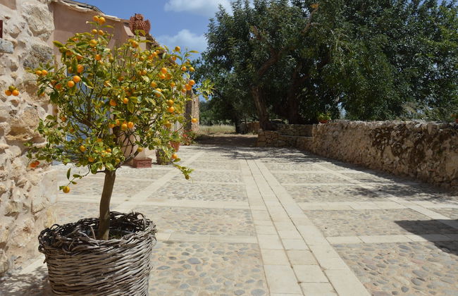 TerraMater - Foto 17