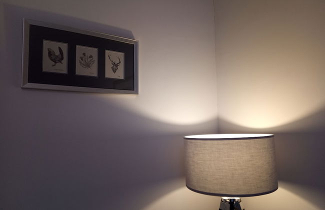 Millport Town or Country Holiday Lets - Foto 24