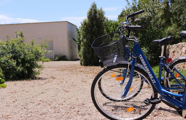 TerreAmare Agriturismo - Photo 53