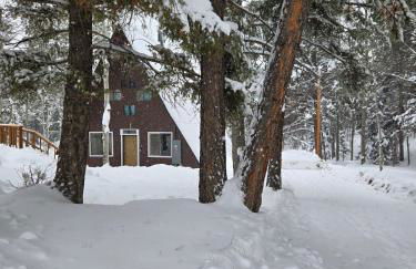 Woodland Park Scandi Cabin, Mtn Views & Hot Tub - Foto 28