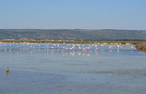 L'Aigrette Bleue - Foto 20