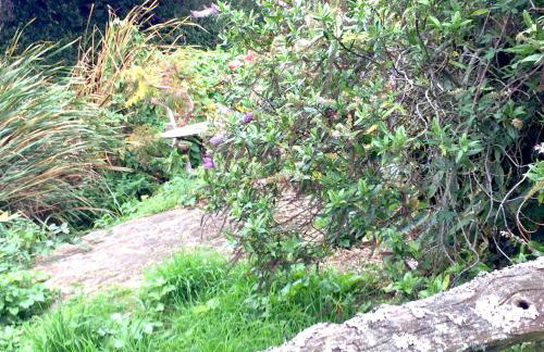 Tovey Lodge - Foto 30