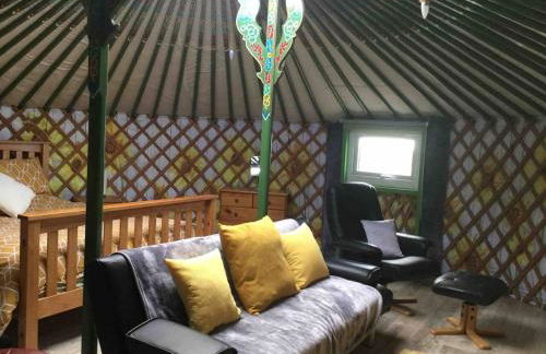 Green Yurt with Hot Tub - Sleeps 3 Parking & Pets - Photo 7