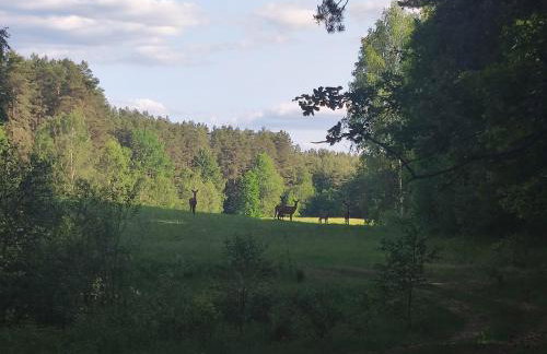 Cały dom na wyłączność - Ostoja Leśna Cisza - Foto 32