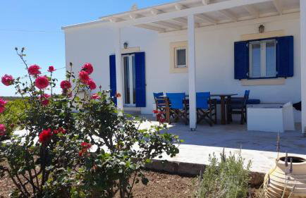 Tsipouras House - Foto 25