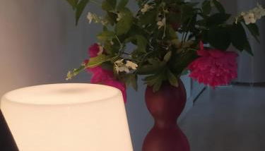 Gîte Les Gorges du Tarn - Photo 5