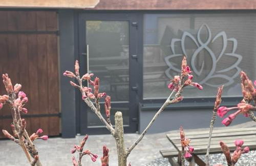 LES GRANGES DE JADIS ALSACE Bis - Foto 40