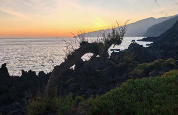 Casinha de Nesquim - Foto 24