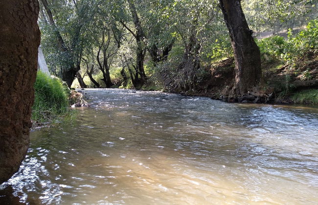 Rancho San Miguel - Foto 17