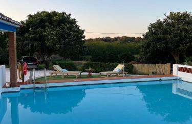 Horta do Monte - Foto 20