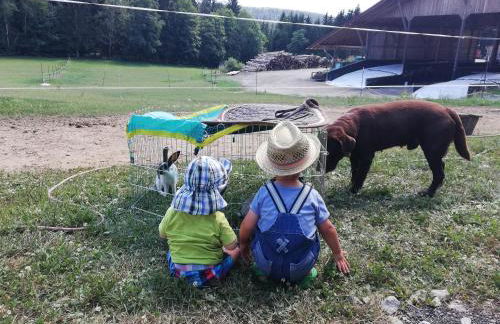 Ferienhof Schmalzgrub - Foto 30