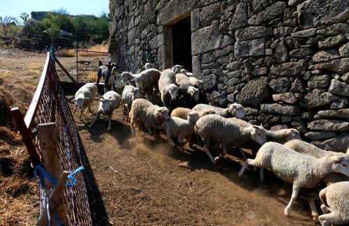Quinta do Chãozinho - Photo 29