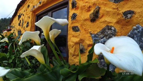 Country private studio - Foto 2