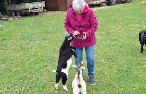 Mardi Gras, Upwell - Foto 28