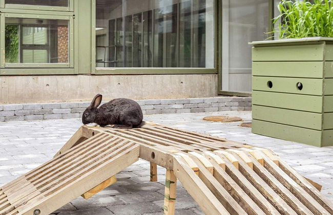 Modern Comfort Home- Type9 - Foto 22