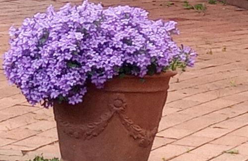 vistas y relax 126m privados con piscina No cocina - Foto 36