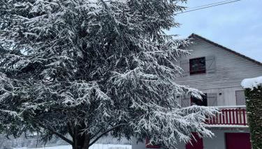 Chalet Le Cèdre Bleu 10 p - 10 min de Gérardmer - Foto 3