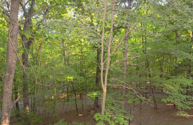 Brigadoon - 5 Bedroom Retreat - Photo 23