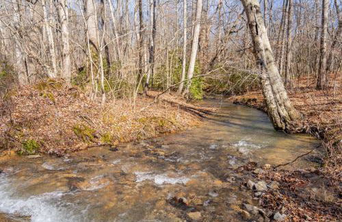 Lula Lake Cabin - Foto 9