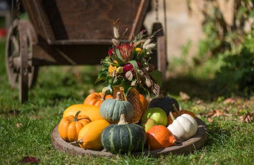 Altes Forstamt im Teutoburger Wald-Fewo Hofgarten - Foto 25