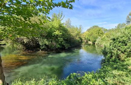 Maison au bord de l'eau - Photo 18