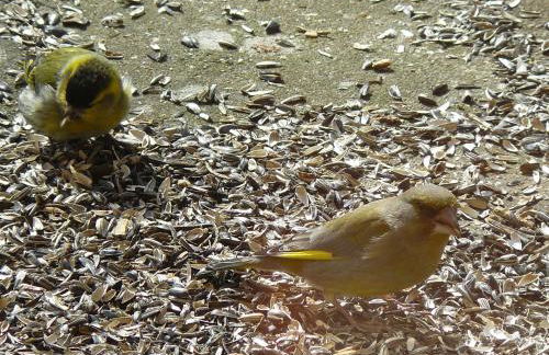 HummelCasa Ferienhaus Bayreuth - Foto 42