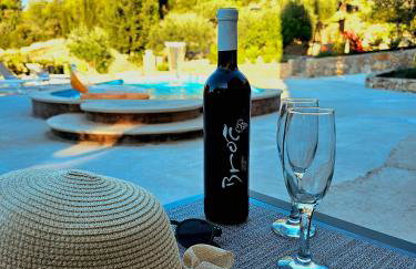 Villa Broč - Photo 140