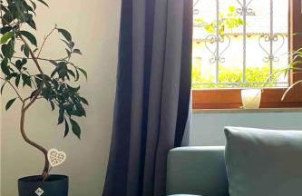 Helle 1-Zimmer Souterrainwohnung in ruhiger Lage! - Foto 1