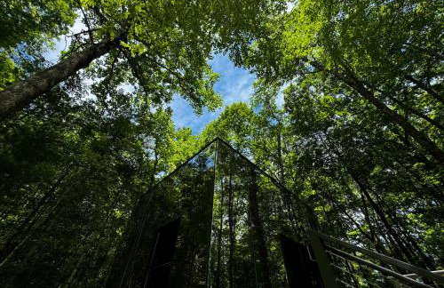 Couples Mirror Cabin -Looking Glass at Valley Bear Farms Resort - Foto 3