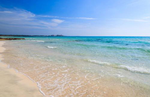 Hotel Rural Son Terrassa - Foto 39