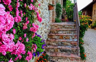 Castellare - Foto 57