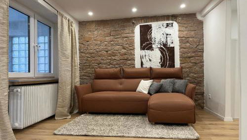 Expat Apartment Furnished Near Heidelberg Center - Foto 3