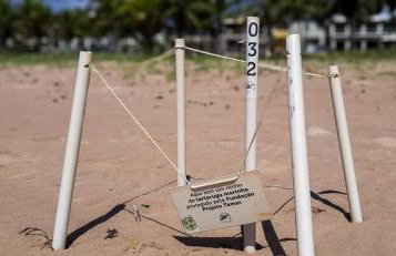 Chalé Beira-Mar com Piscina Privativa e Varanda em Barra do Jacuípe - Foto 64