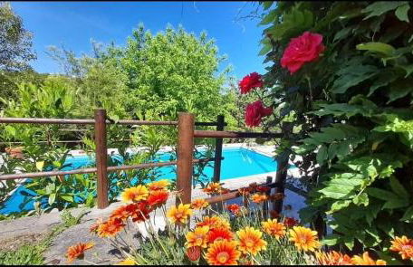 Casa do Tapado - Foto 45