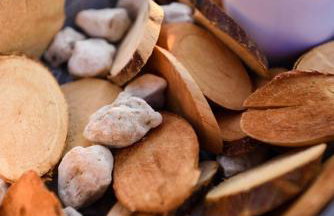 Los vagones - Photo 13