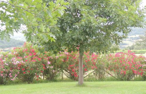 Agriturismo Il Cavallino Saturnia - Foto 69