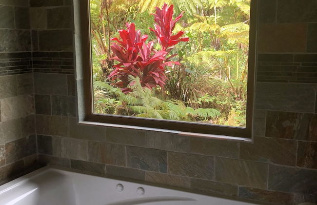 Volcano Rainforest Lodge - Foto 31