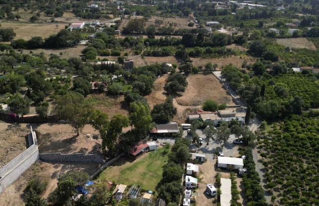 Bodrummasalicamping - Foto 17