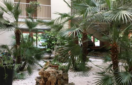 Tu Casa parking fibre optique Netflix - Foto 18