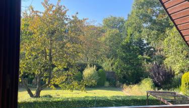 Haus Otto - Foto 5, Garden view