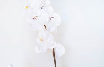 Apartman NONO - Foto 9