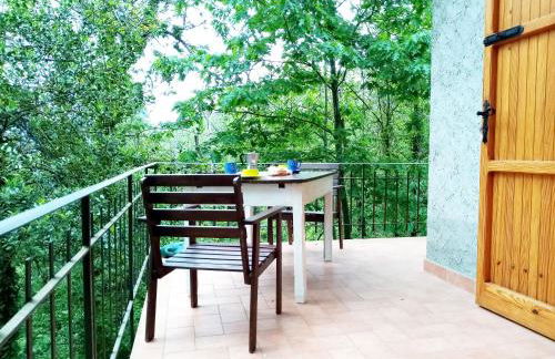 La casa del bosco - Foto 18