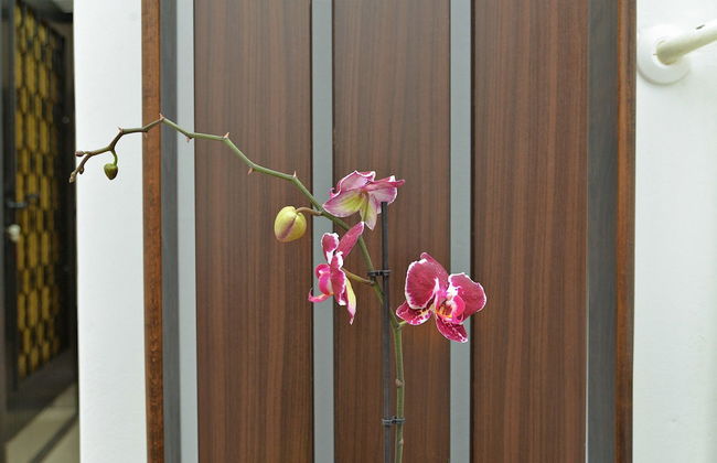 Apartment 628 - Foto 53