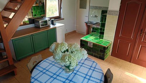 Domek Pszczelarza - Photo 4, stove