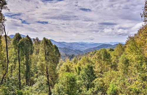 Cabin with BBQ and Games - Walk to Blue Ridge Parkway! - Foto 33