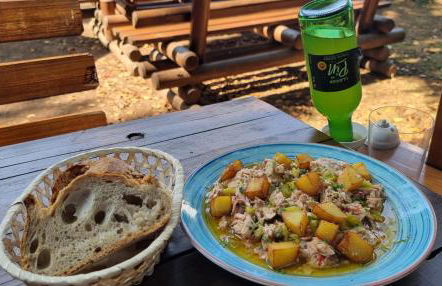 Casa "LA OCA" - Planta Baja Independiente en Vivienda Independiente - Foto 24