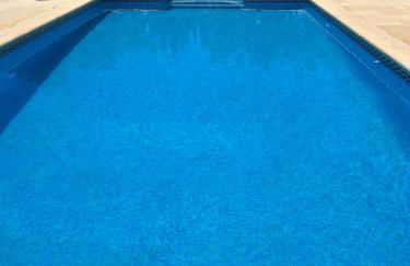 El Olivar de la Solana - Foto 7